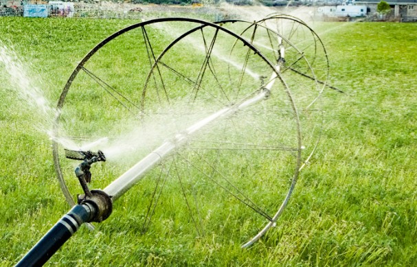 Advantages of Furrow Irrigation 