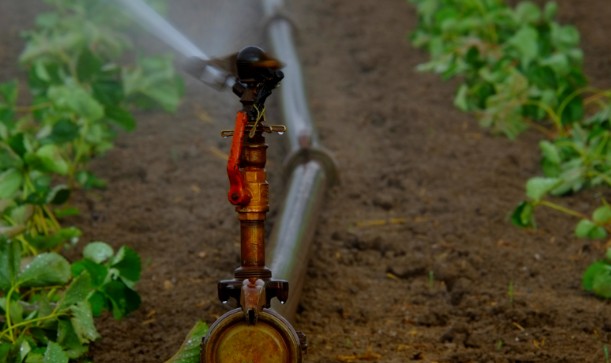 Furrow vs. Other Irrigation Methods 