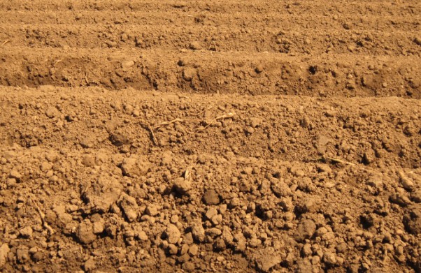 Types of Furrow Irrigation 