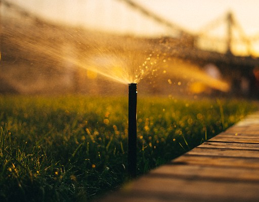 Seasonal Adjustments to Your Watering Schedule